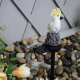 Solar garden LED lamp in parrot shape, white