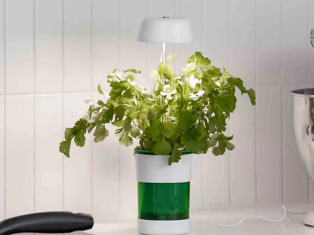 Self Watering Pot Plant Lamp, 6 LED 4 UV (8)