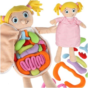 Plush Anatomy Doll Girl Human Body Learning Toy