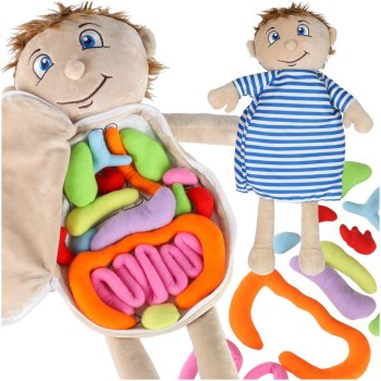Educational Anatomy Doll Boy Plush Toy with Removable Organs