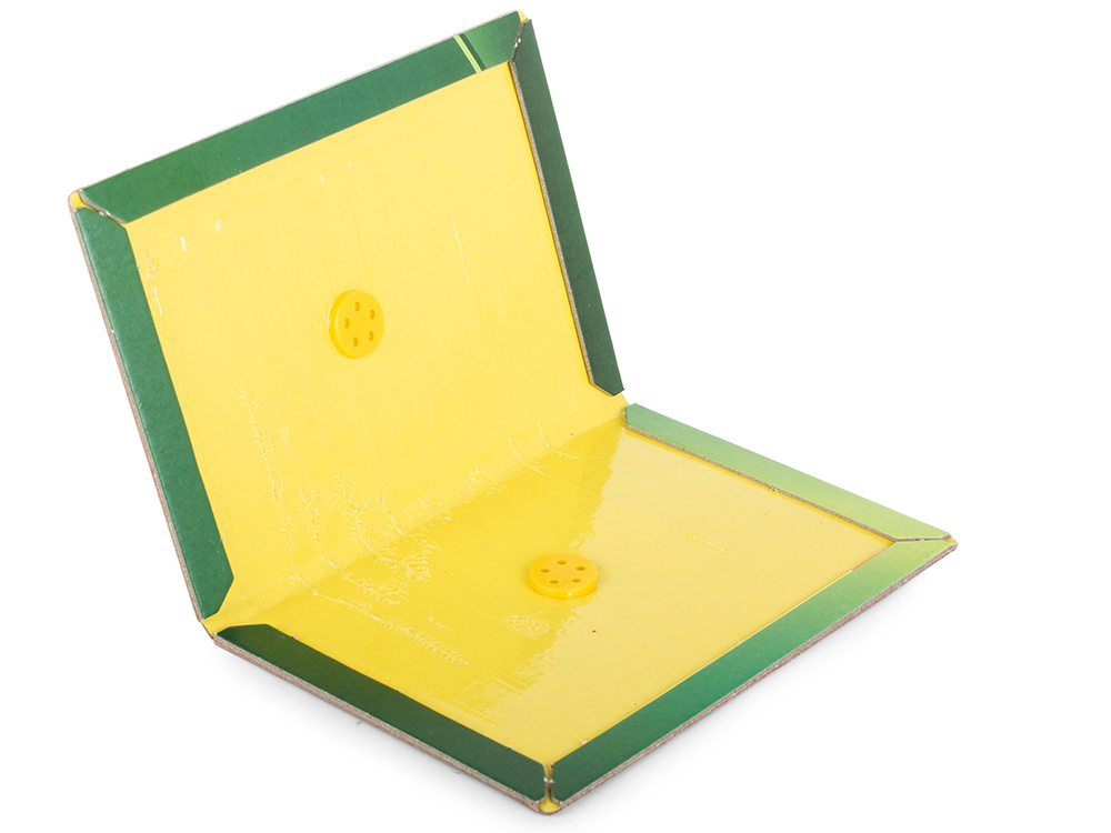 Sticky Mouse Trap Sticky 31Cm (3)