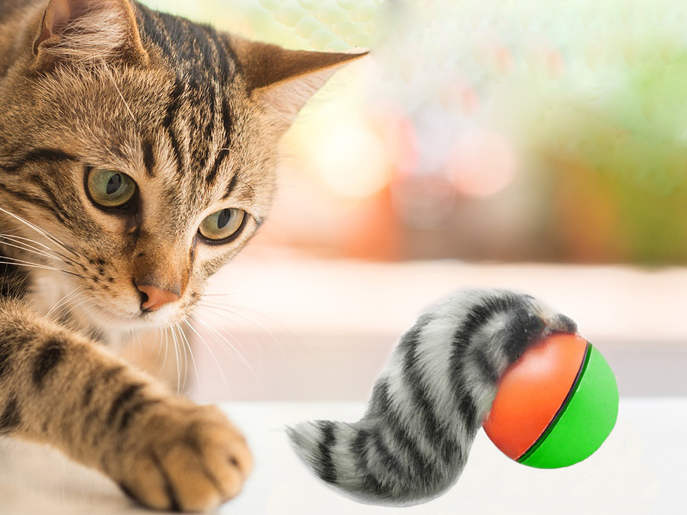 Interactive Rolling Ball with Ferret Toy for Cats and Dogs (1)