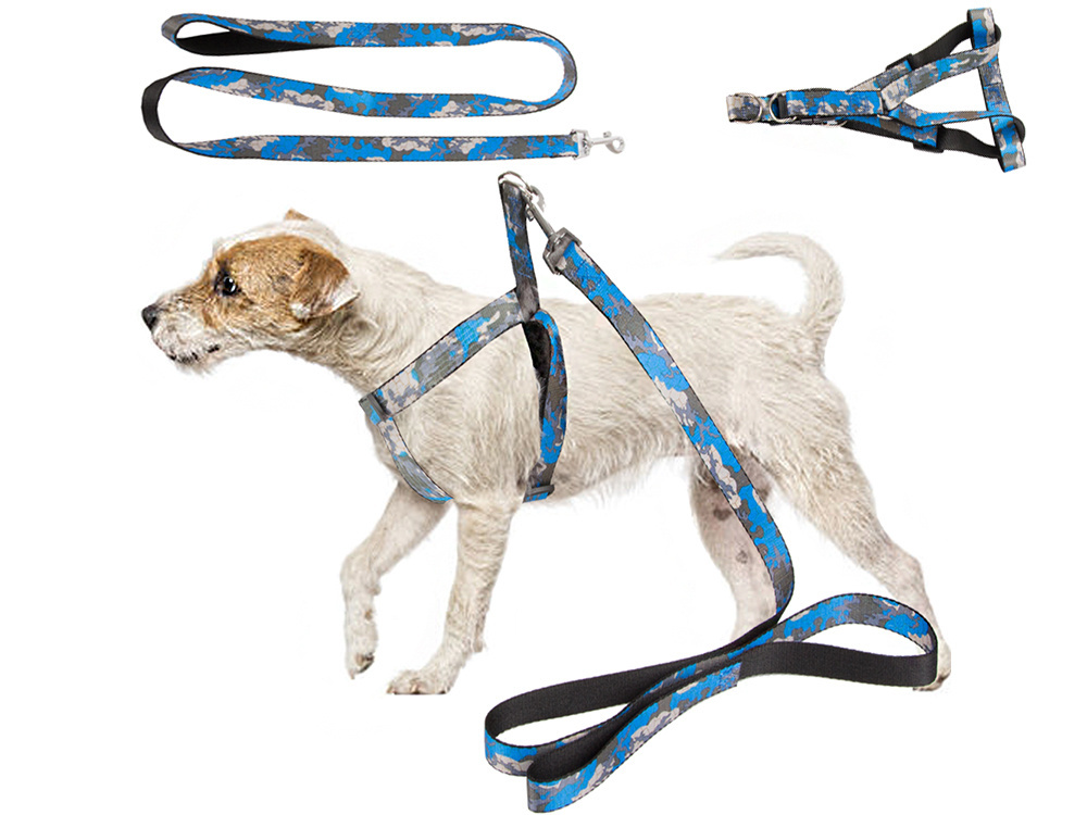 Adjustable walking harness with leash for dogs and cats, size M (0)