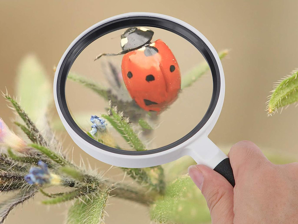 Classic Handheld Magnifying Glass for Reading 95mm 3x (3)