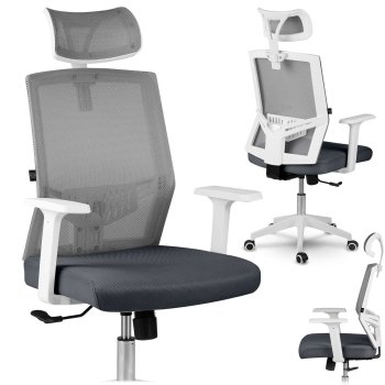Ergonomic Mesh Office Chair Sofotel Rotar, Dark Grey