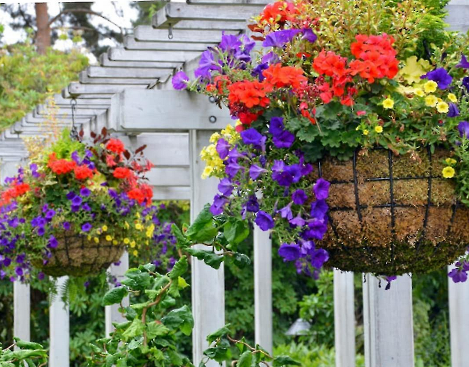 Extendable Adjustable Plant Pot Hanger Hook, Set of 2 (7)