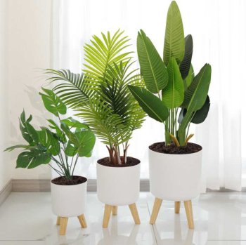 Standing Plant Pot with Wooden Stand for Indoor Plants, White