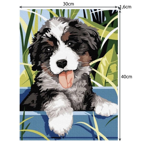 Painting by Numbers - 40x30cm, Puppy (5)