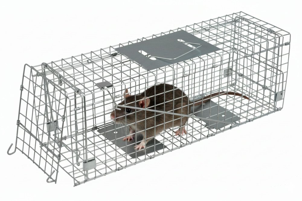 Humane Live Animal Trap XL for Martens Rats Raccoons and Cats (0)