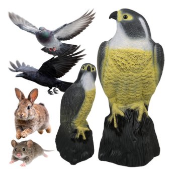 Bird scarer - falcon 23421