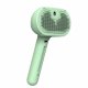 Self-Cleaning Pet Steam Brush for Dogs and Cats with Massage Function, USB-C, Mint