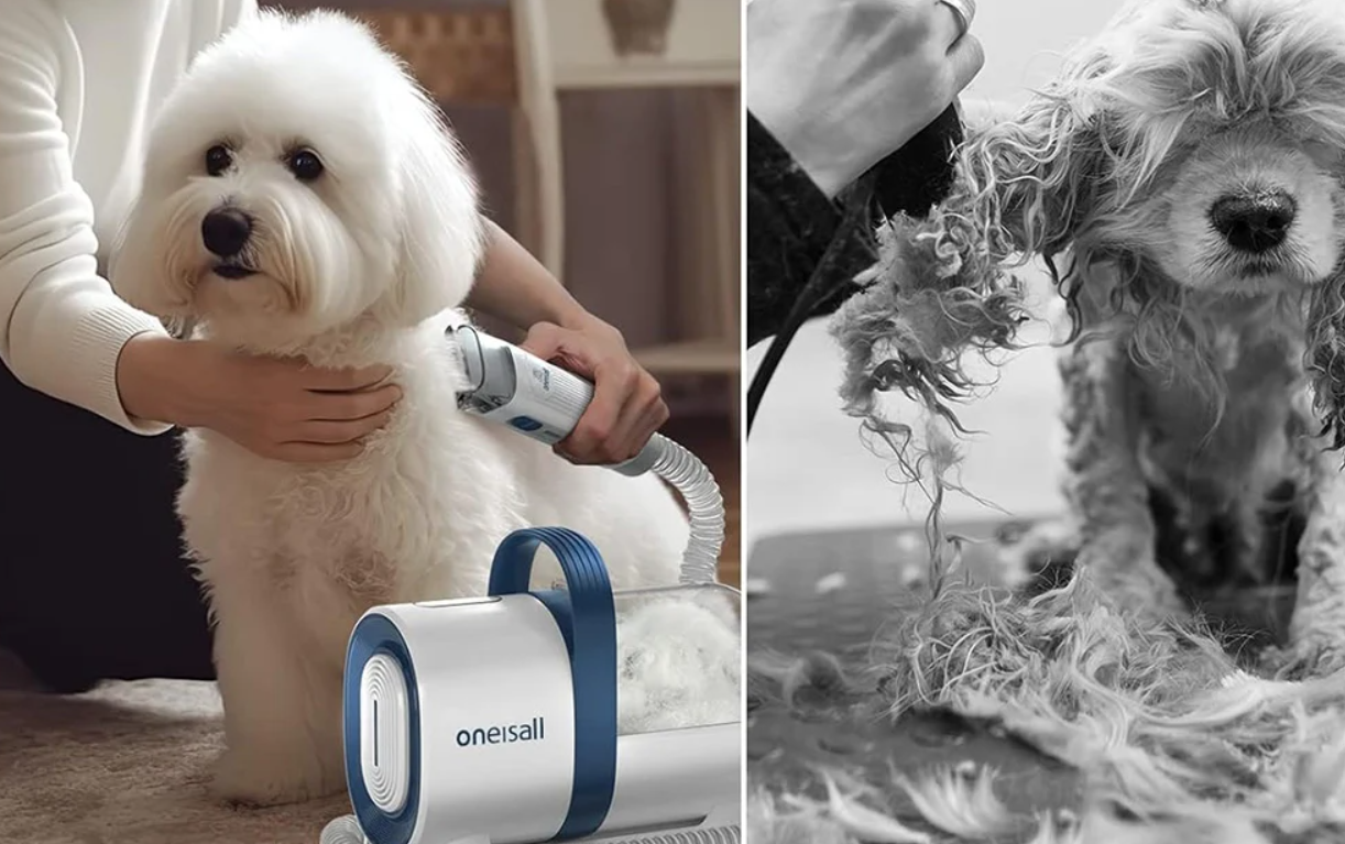 Grooming vacuum cleaner from hair for pet care Oneisall LM2, white (2)