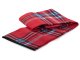Large Waterproof Picnic Blanket with Insulation XXL 150x200cm, Red Plaid