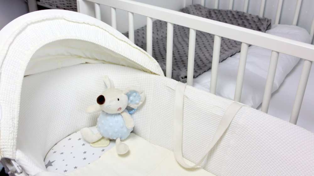 Musical Plush Mouse Toy with Music Box for Cribs & Strollers (2)