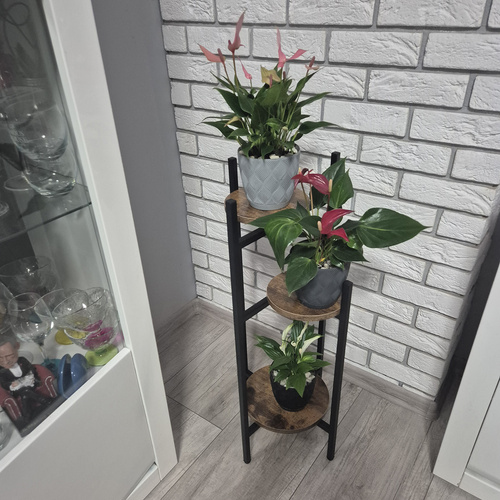 Flower Stand 80cm Ruhhy 25627 (1)