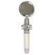Water Saving Shower Head with Filter, Silver/Gold, without Hose