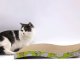 Cat Horizontal Scratcher Cardboard Scratching Post Bed Lounger