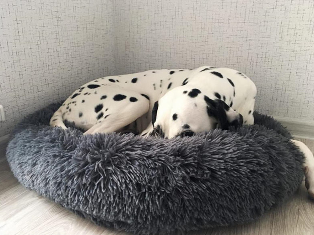 Soft Plush Donut Dog Bed for Dogs and Cats 80 cm, Dark Grey (0)