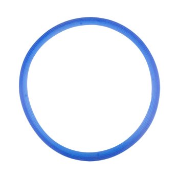 Silicone Gasket for Lafomed 12 L Autoclaves, Blue, 11 mm