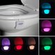 LED Toilet Lamp with Light and Motion Sensor