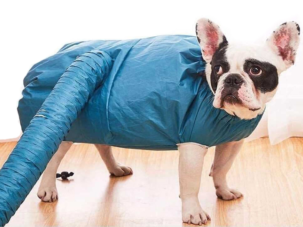 Pet Dog Dryer Blower Bag (3)