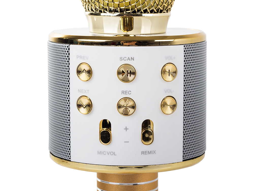 Wireless Karaoke Microphone with Bluetooth Speaker, Echo, and Voice Changer (2)