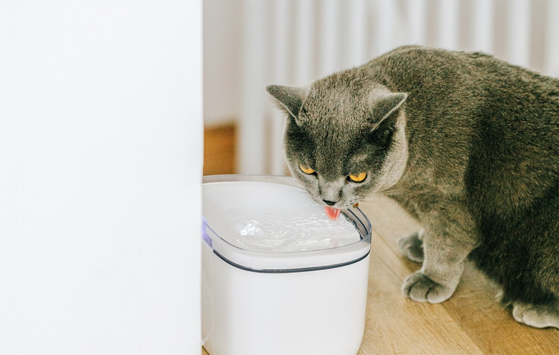 Petoneer Fresco mini plus viedā suņu un kaķu dzirdne, 1.9L
