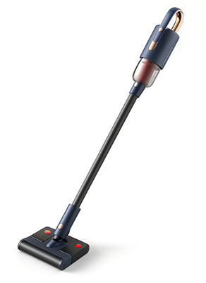 Upright and Standard Vacuums
