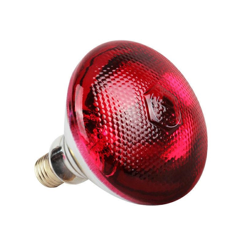 175W Infrared Heat Lamp for Chicks and Livestock