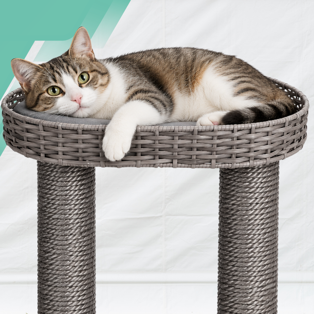 Karlie Nicky Outdoor Cat Scratching Post with Condo and Platform 77 x 57 x 110 cm