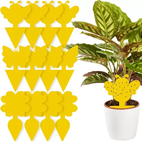 Yellow Sticky Insect Traps 12 Pack Repest 19053