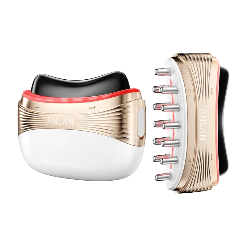 Anlan 02-AGSY53-02A 2-in-1 Face and Head Massager