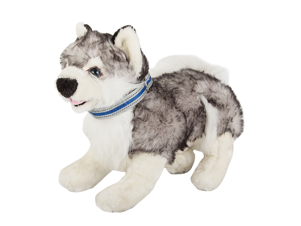 Reflective collar for dogs and cats, adjustable, size S (0)