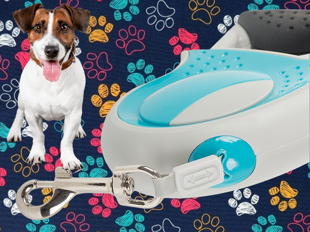 Retractable Dog Leash, 5m, Up to 20kg, Blue