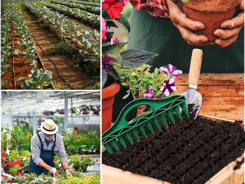 12-Hole Garden Dibber for Planting Seeds and Seedlings