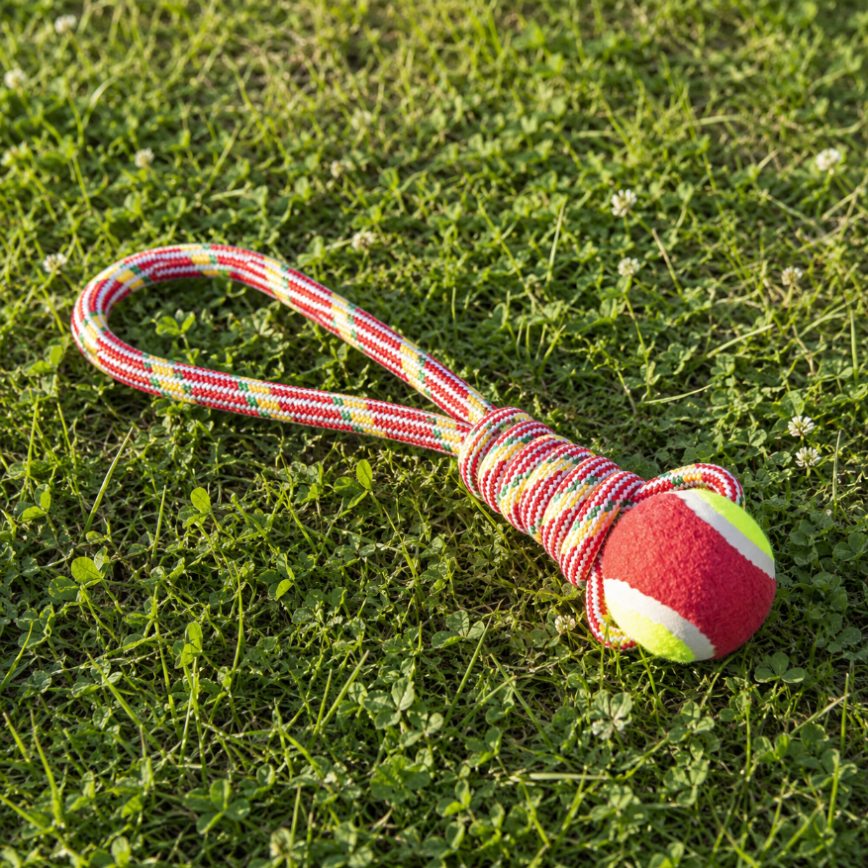 Dog Rope Toy with Tennis Ball, 34 cm