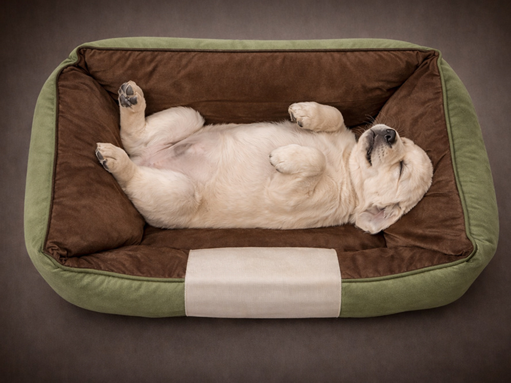 Cozy Bolster Dog Bed for Small Pets with Non-Slip Bottom, Size S, Green
