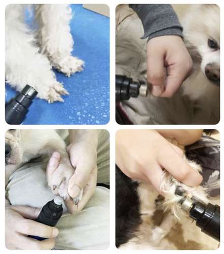 Purlov 23658 Electric Pet Nail Grinder and Clippers