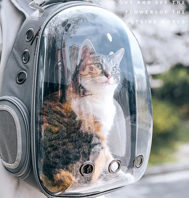 Folding Pet Cat Dog Travel Backpack Knapsack Rucksack Bag Case, 28-68x32x42cm, Grey