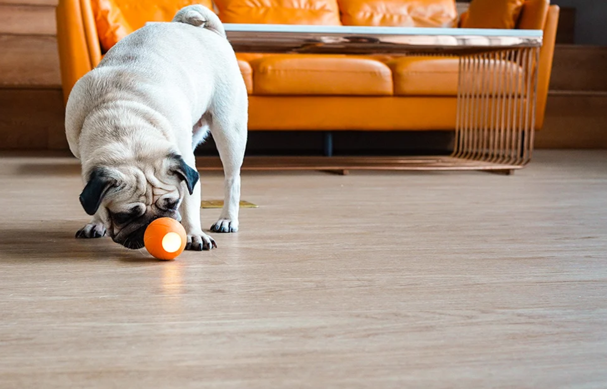 Cheerble Ball Sensor Play Ball Toy for Dog Cat, Orange