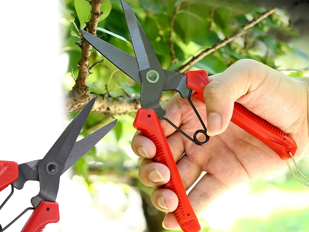 Garden pruner for grafting trees and shrubs, 19x10 cm