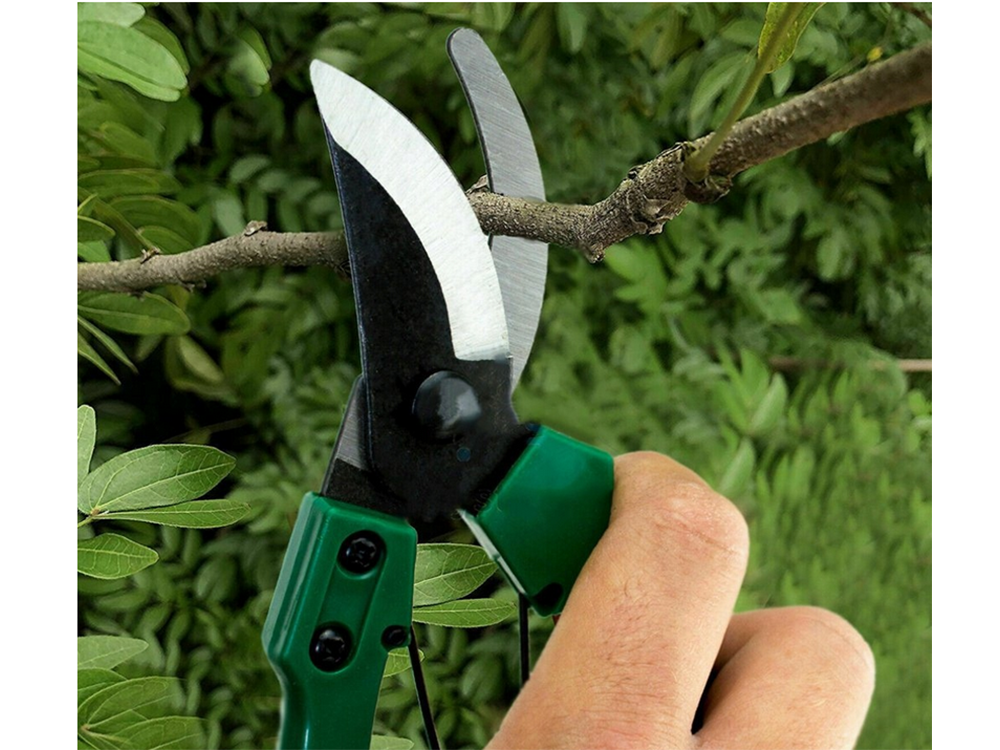 Garden pruner for grafting trees and shrubs green, 18x11 cm