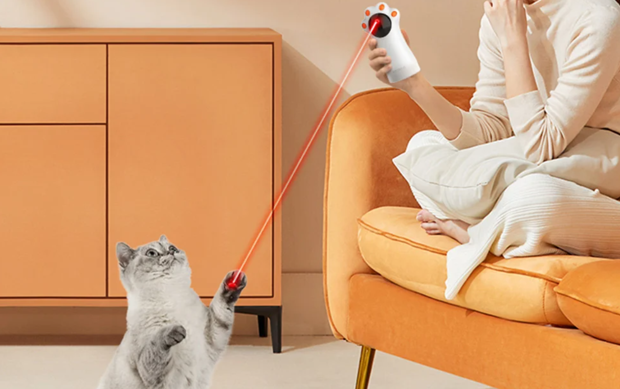 Rojeco Laser Pointer Play Toy for Dogs Cats