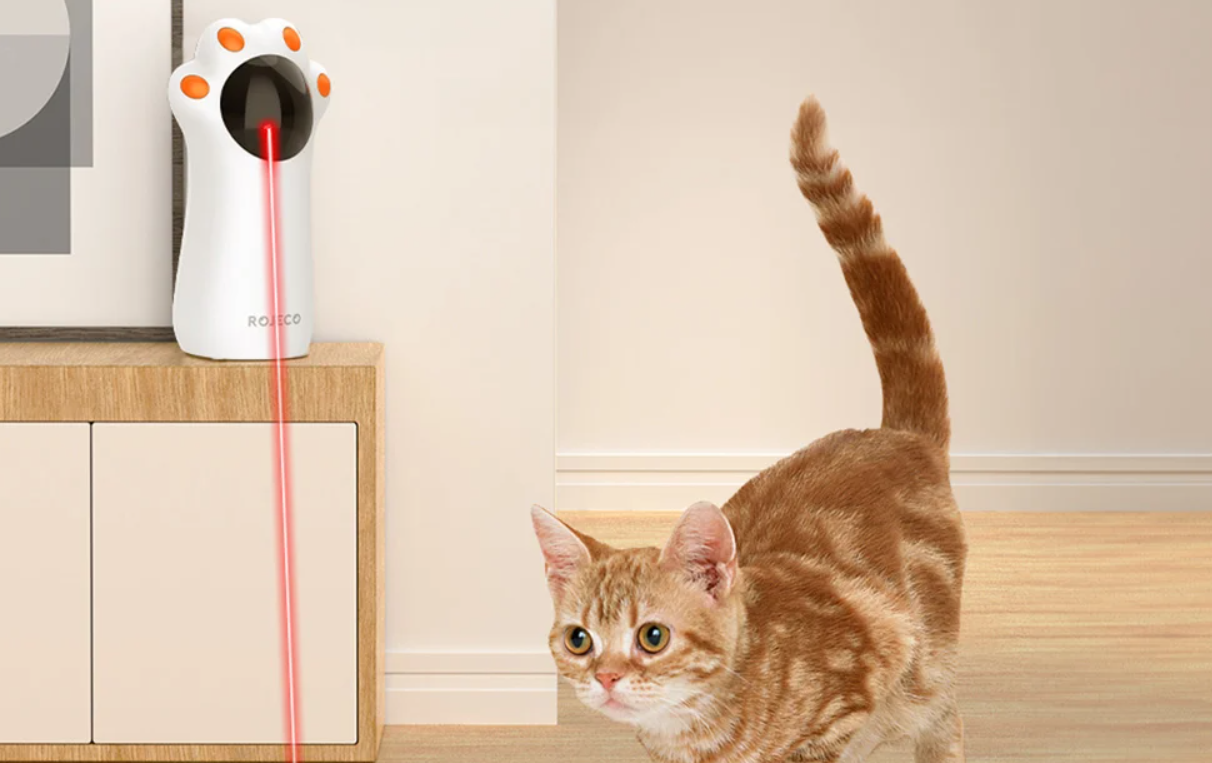 Rojeco Laser Pointer Play Toy for Dogs Cats