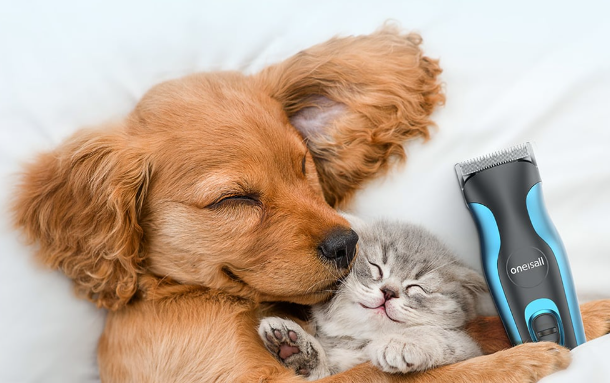 Trimmer Pet Hair Clipper Oneisall DTJ-002