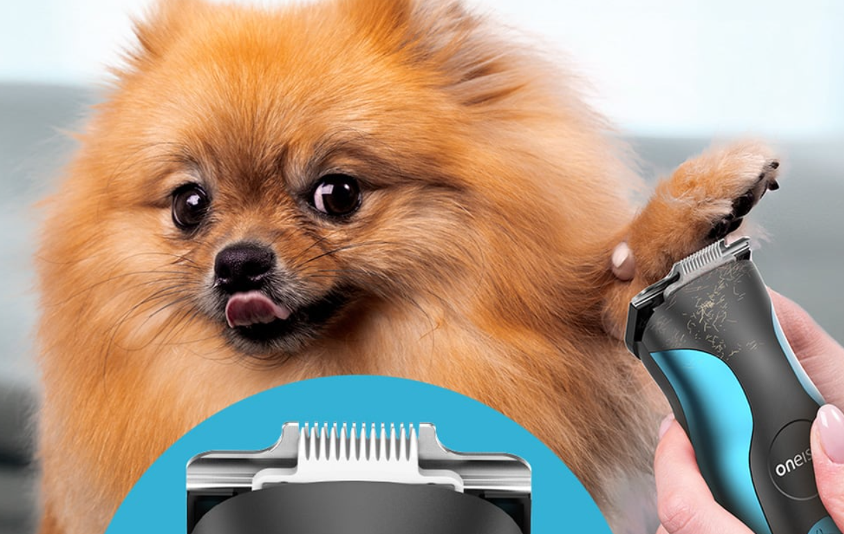 Trimmer Pet Hair Clipper Oneisall DTJ-002