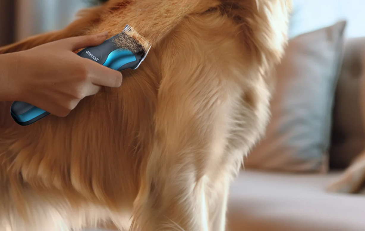 Trimmer Pet Hair Clipper Oneisall DTJ-002