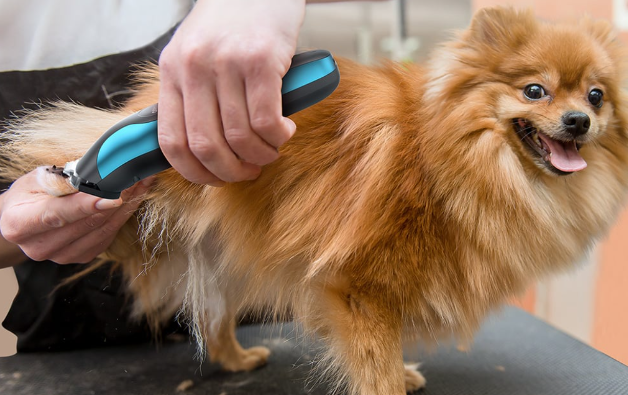 Trimmer Pet Hair Clipper Oneisall DTJ-002