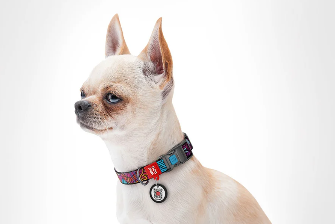 Waudog Nylon Dog collar with QR code size M, Summer