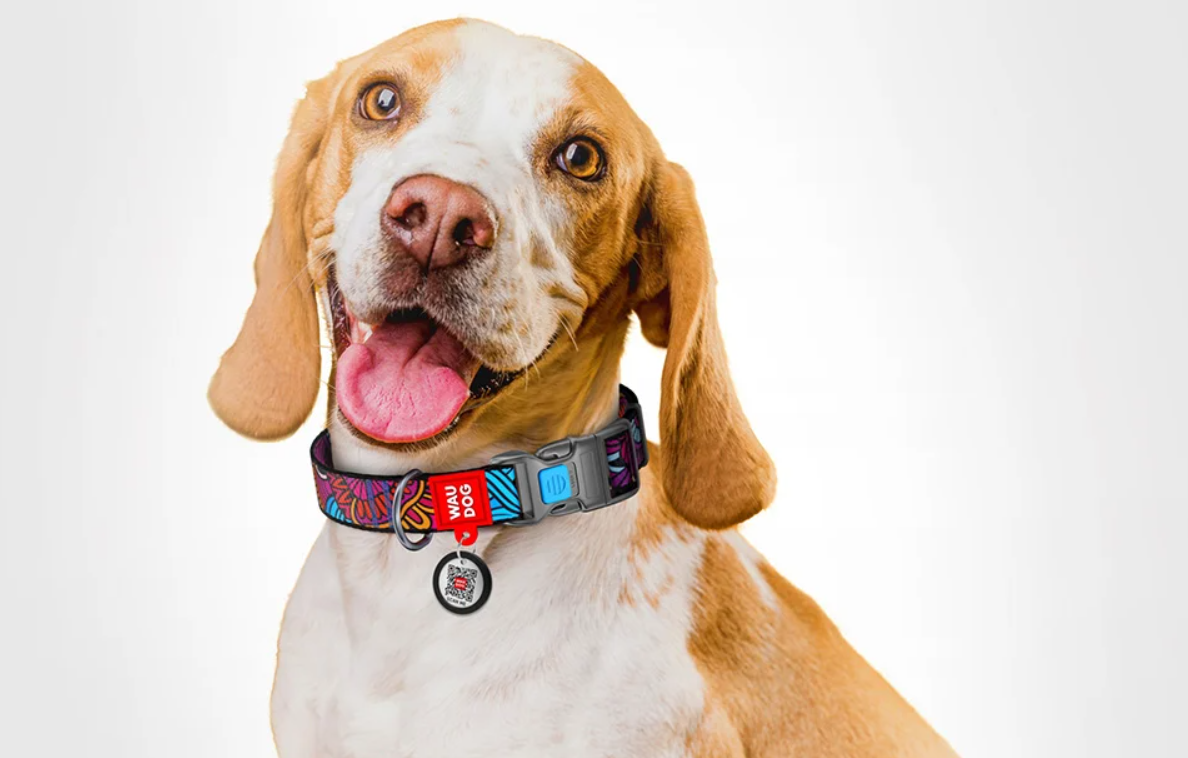 Waudog Nylon Dog collar with QR code size L, Summer